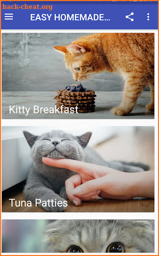 EASY HOMEMADE CAT FOOD RECIPES screenshot