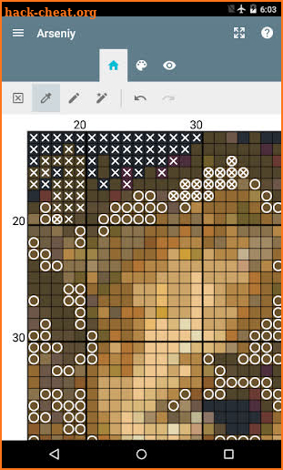 eCanvas for cross-stitch PRO screenshot