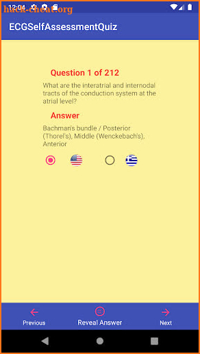 ECG Self Assessment Quiz screenshot