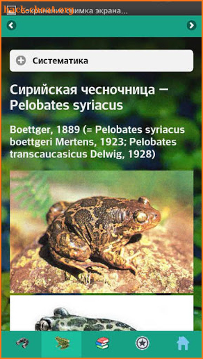 EcoGuide: Russian Amphibians screenshot