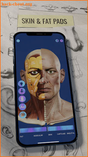 Ecorche: Portrait Anatomy screenshot