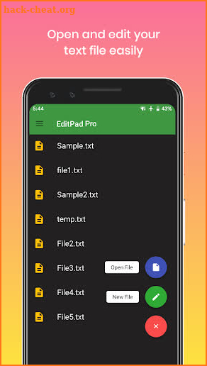 EditPad Pro - A Simple Text Ed screenshot