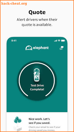 Elephant Safe Driver screenshot