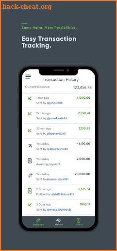 eNaira Speed Merchant Wallet (Business) screenshot