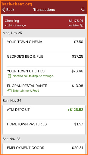 Endurance FCU Mobile screenshot