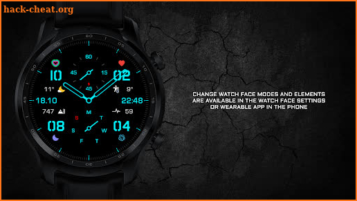 ENDURANCE Watch Face screenshot