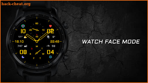 ENDURANCE Watch Face screenshot