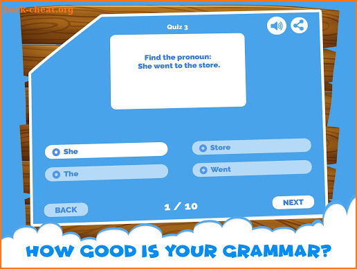 English Grammar Pronouns Quiz screenshot