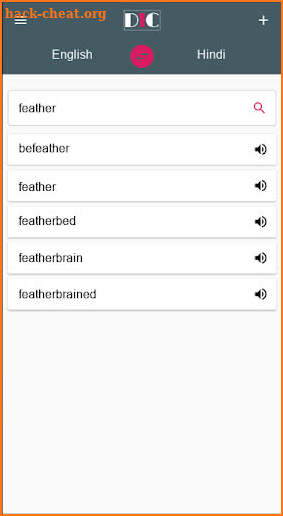English - Hindi Dictionary (Dic1) screenshot