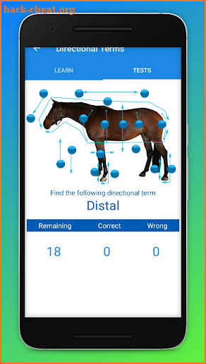 Equine Anatomy Learning Aid (EALA) screenshot