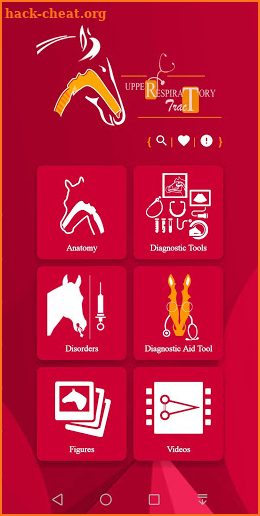 Equine Upper Respiratory Tract Guide screenshot