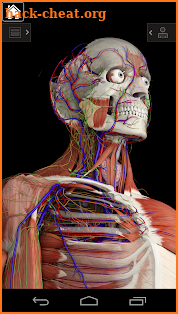 Essential Anatomy 3 screenshot