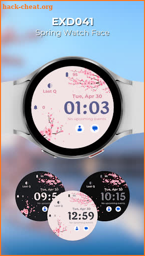 EXD041: Spring Watch Face screenshot