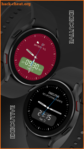 EXD141: Hybrid Watch Face screenshot