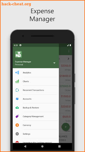 Expense Money Manager Control screenshot