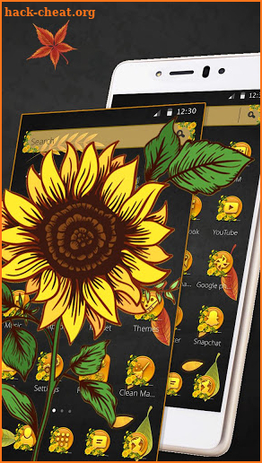 Exquisite Sunflower 2D Theme screenshot