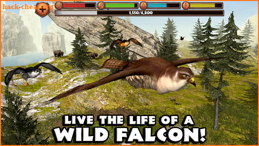 Falcon Simulator screenshot