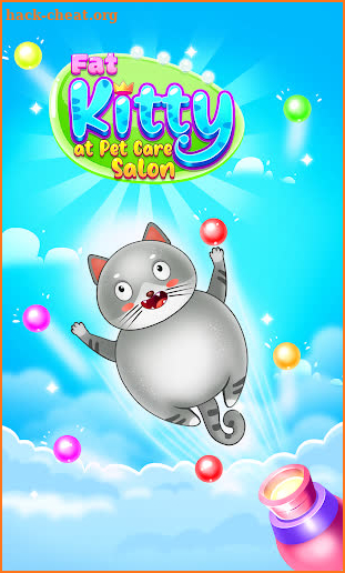 Fat Kitty At Pet Care Salon screenshot