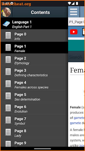 Female Anatomy screenshot