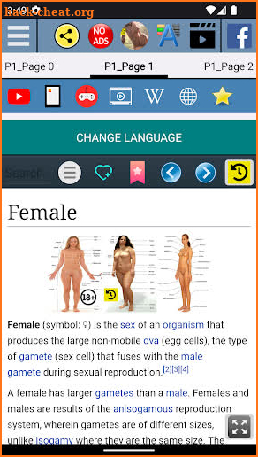 Female Anatomy screenshot