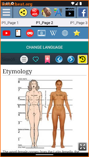 Female Anatomy screenshot