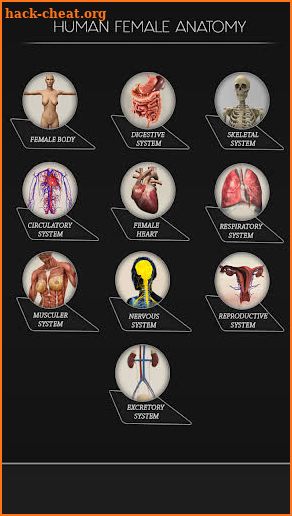 Female Anatomy 3D : Female Body Visualizer screenshot