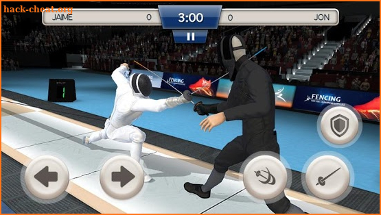 Fencing Swordplay 3D screenshot