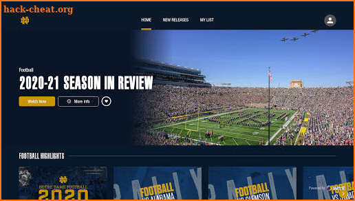 Fighting Irish TV screenshot