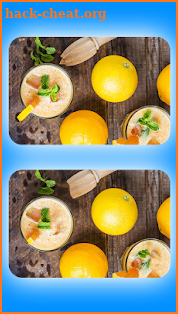 Find 5 Differences - Spot The Differences Game screenshot