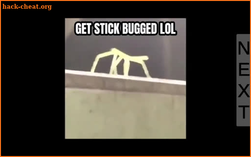 Find Stick Bug screenshot