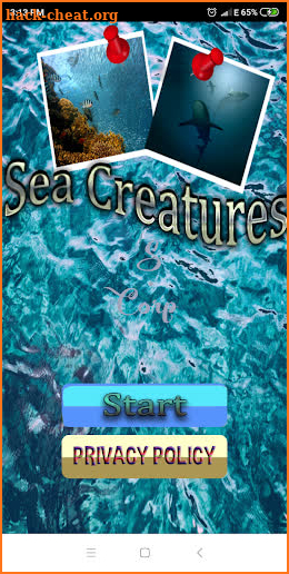 Find the differences: Sea Creatures screenshot