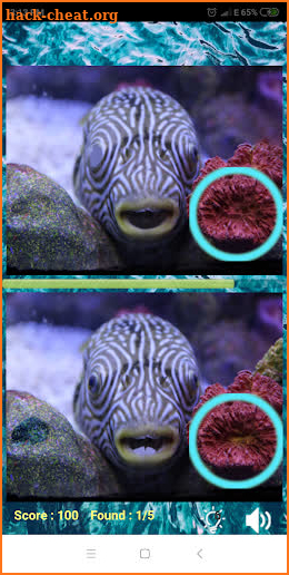 Find the differences: Sea Creatures screenshot