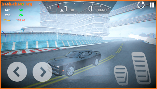 Finish Line: City Driving screenshot