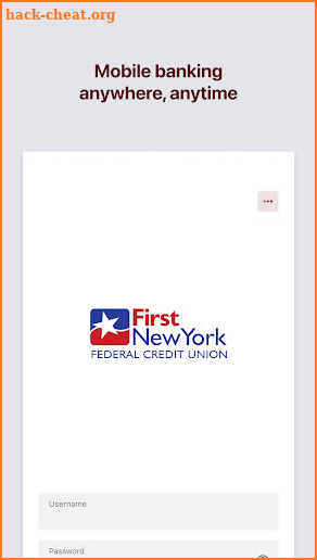 First New York FCU screenshot