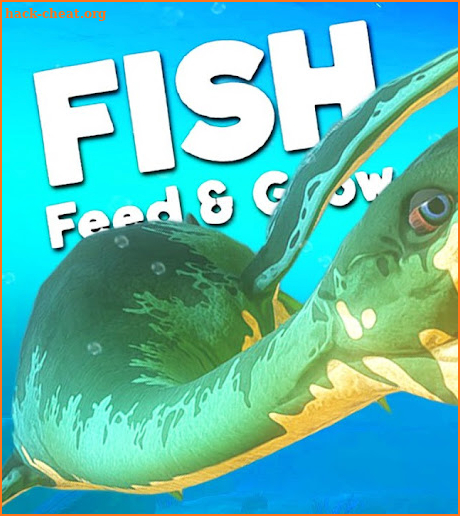 Fish Feed And Grow Fish Advice screenshot