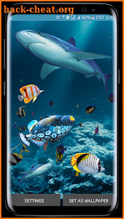 Fish Live Wallpaper 3D: Aquarium Phone Background screenshot