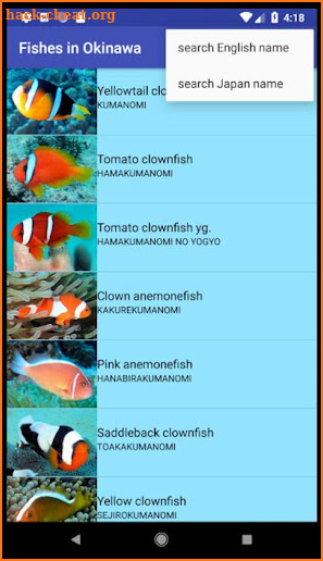 Fish Photo of OKINAWA screenshot