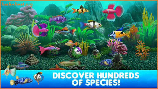 Fish Tycoon 2 Virtual Aquarium screenshot