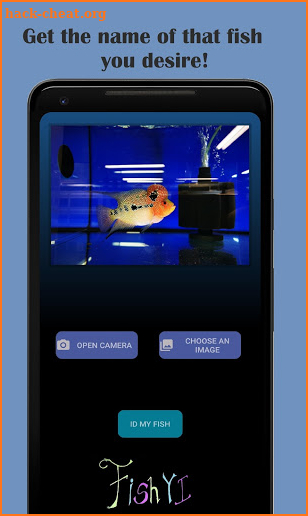 FishYI - Your Fish Identifier screenshot