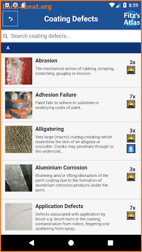 Fitz's Atlas of Coating Defects screenshot