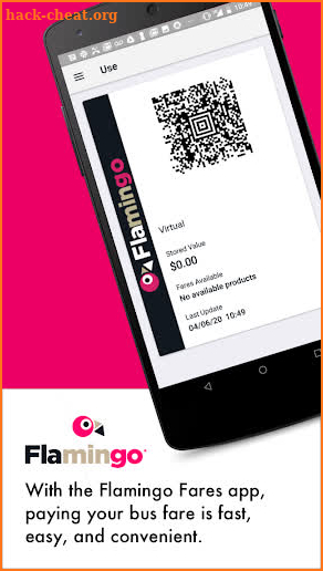 Flamingo Fares screenshot