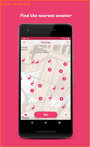 Flamingo Scooters screenshot