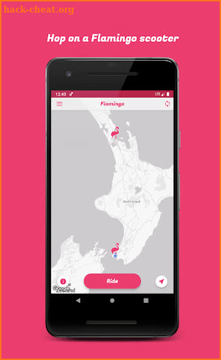 Flamingo Scooters screenshot