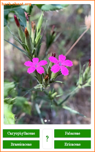 FlashBotany: Learn the plants! screenshot