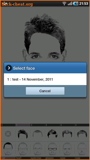 FlashFace Premium police tool screenshot