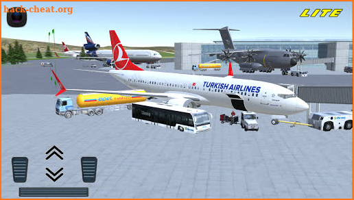 Flight 737 - MAXIMUM LITE screenshot