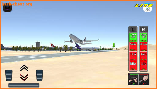 Flight 737 - MAXIMUM LITE screenshot