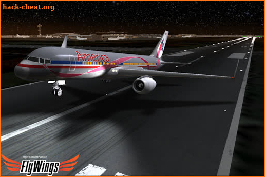 Flight Simulator Night NY HD screenshot