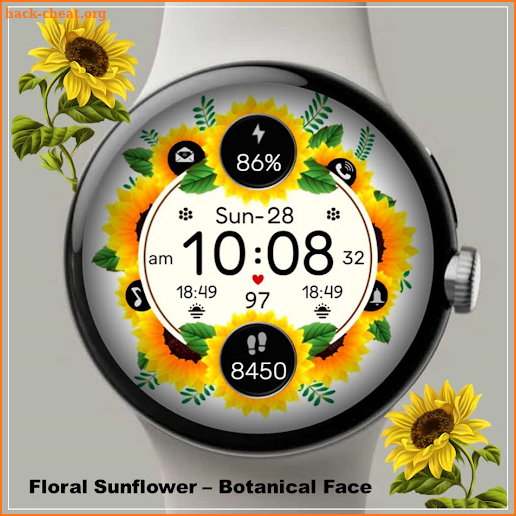 Floral Sunflower Botanical screenshot