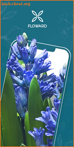 Floward Online Flowers & Gifts screenshot